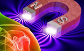El magnetismo de la Salud