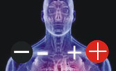 cuerpo humano polaridad